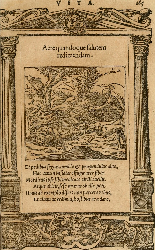 An illustration from Emblemata d'A. Alciati : denuo ab ipso autore recognita ac, quae desiderabantur, imaginibus locupletata : accesserunt noua aliquot ab autore emblemata, suis quoque eiconibus insignita, 1550, leaf 168