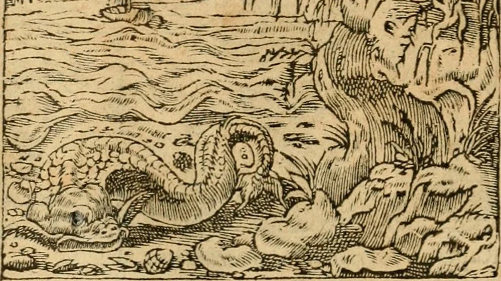 An illustration from Emblemata d'A. Alciati : denuo ab ipso autore recognita ac, quae desiderabantur, imaginibus locupletata : accesserunt noua aliquot ab autore emblemata, suis quoque eiconibus insignita, 1550, leaf 181