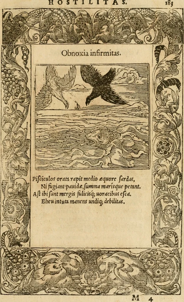 An illustration from Emblemata d'A. Alciati : denuo ab ipso autore recognita ac, quae desiderabantur, imaginibus locupletata : accesserunt noua aliquot ab autore emblemata, suis quoque eiconibus insignita, 1550, leaf 184