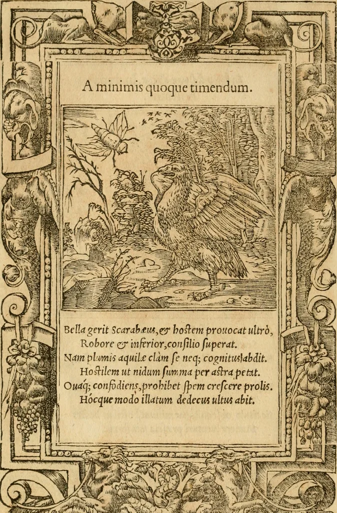 An illustration from Emblemata d'A. Alciati : denuo ab ipso autore recognita ac, quae desiderabantur, imaginibus locupletata : accesserunt noua aliquot ab autore emblemata, suis quoque eiconibus insignita, 1550, leaf 187