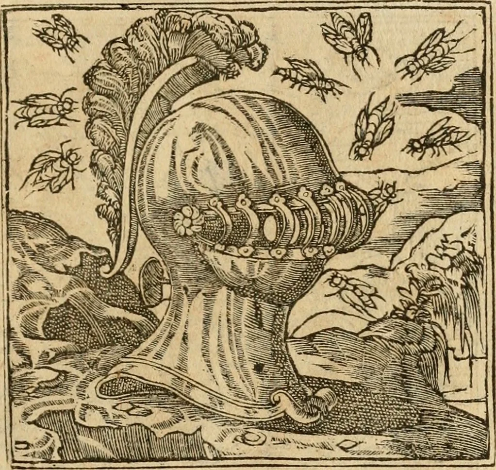 An illustration from Emblemata d'A. Alciati : denuo ab ipso autore recognita ac, quae desiderabantur, imaginibus locupletata : accesserunt noua aliquot ab autore emblemata, suis quoque eiconibus insignita, 1550, leaf 192