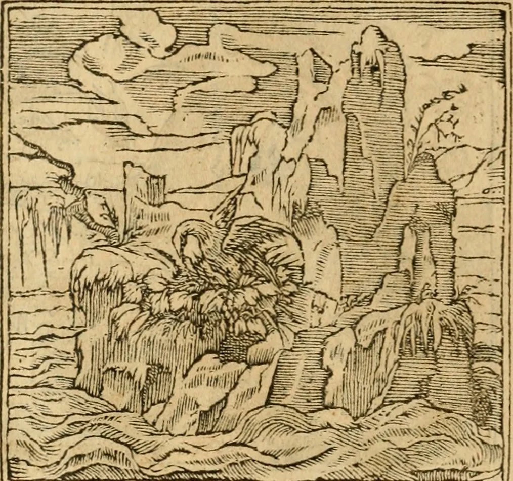 An illustration from Emblemata d'A. Alciati : denuo ab ipso autore recognita ac, quae desiderabantur, imaginibus locupletata : accesserunt noua aliquot ab autore emblemata, suis quoque eiconibus insignita, 1550, leaf 193