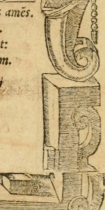 An illustration from Emblemata d'A. Alciati : denuo ab ipso autore recognita ac, quae desiderabantur, imaginibus locupletata : accesserunt noua aliquot ab autore emblemata, suis quoque eiconibus insignita, 1550, leaf 20