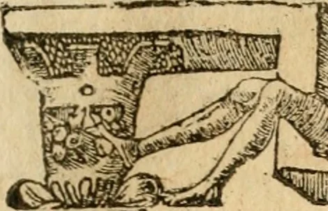 An illustration from Emblemata d'A. Alciati : denuo ab ipso autore recognita ac, quae desiderabantur, imaginibus locupletata : accesserunt noua aliquot ab autore emblemata, suis quoque eiconibus insignita, 1550, leaf 200