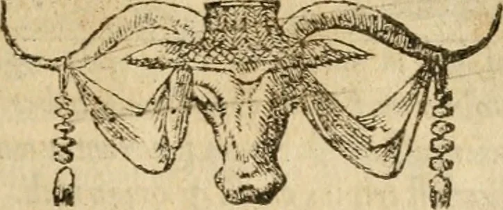 An illustration from Emblemata d'A. Alciati : denuo ab ipso autore recognita ac, quae desiderabantur, imaginibus locupletata : accesserunt noua aliquot ab autore emblemata, suis quoque eiconibus insignita, 1550, leaf 204
