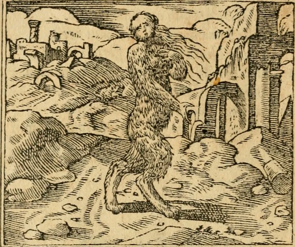 An illustration from Emblemata d'A. Alciati : denuo ab ipso autore recognita ac, quae desiderabantur, imaginibus locupletata : accesserunt noua aliquot ab autore emblemata, suis quoque eiconibus insignita, 1550, leaf 205