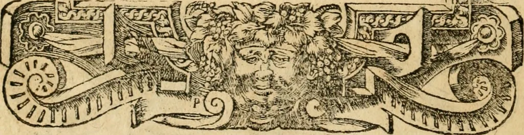 An illustration from Emblemata d'A. Alciati : denuo ab ipso autore recognita ac, quae desiderabantur, imaginibus locupletata : accesserunt noua aliquot ab autore emblemata, suis quoque eiconibus insignita, 1550, leaf 205
