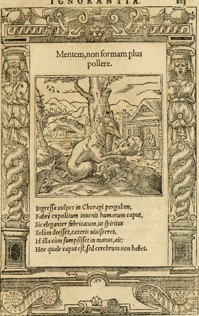 An illustration from Emblemata d'A. Alciati : denuo ab ipso autore recognita ac, quae desiderabantur, imaginibus locupletata : accesserunt noua aliquot ab autore emblemata, suis quoque eiconibus insignita, 1550, leaf 206