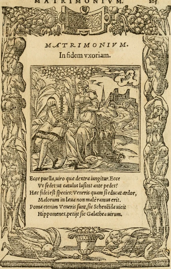 An illustration from Emblemata d'A. Alciati : denuo ab ipso autore recognita ac, quae desiderabantur, imaginibus locupletata : accesserunt noua aliquot ab autore emblemata, suis quoque eiconibus insignita, 1550, leaf 208
