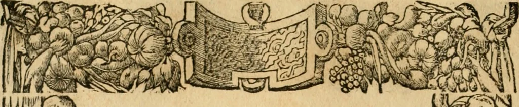 An illustration from Emblemata d'A. Alciati : denuo ab ipso autore recognita ac, quae desiderabantur, imaginibus locupletata : accesserunt noua aliquot ab autore emblemata, suis quoque eiconibus insignita, 1550, leaf 209