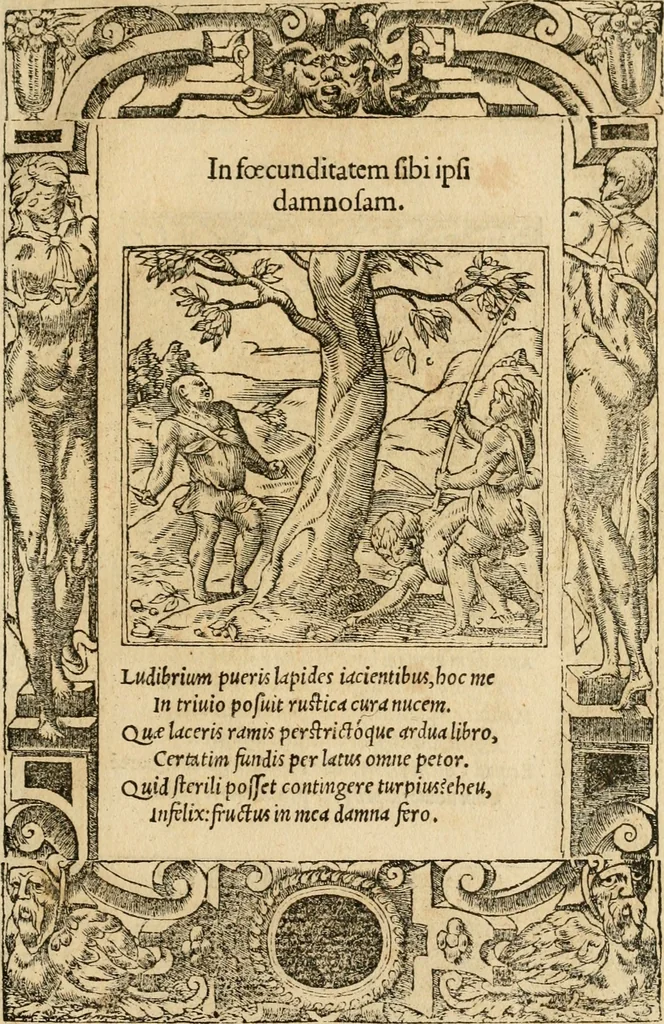 An illustration from Emblemata d'A. Alciati : denuo ab ipso autore recognita ac, quae desiderabantur, imaginibus locupletata : accesserunt noua aliquot ab autore emblemata, suis quoque eiconibus insignita, 1550, leaf 210