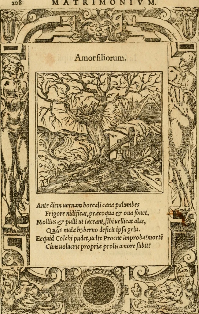 An illustration from Emblemata d'A. Alciati : denuo ab ipso autore recognita ac, quae desiderabantur, imaginibus locupletata : accesserunt noua aliquot ab autore emblemata, suis quoque eiconibus insignita, 1550, leaf 211