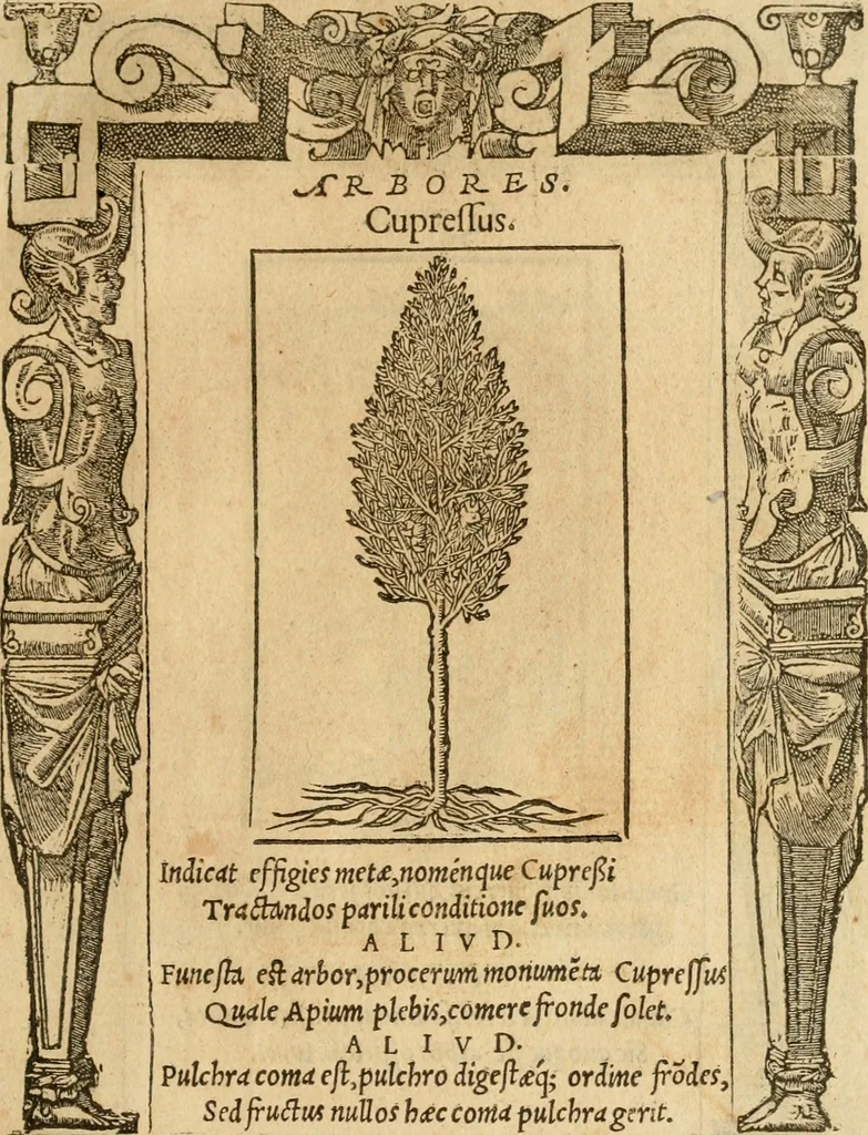 An illustration from Emblemata d'A. Alciati : denuo ab ipso autore recognita ac, quae desiderabantur, imaginibus locupletata : accesserunt noua aliquot ab autore emblemata, suis quoque eiconibus insignita, 1550, leaf 216