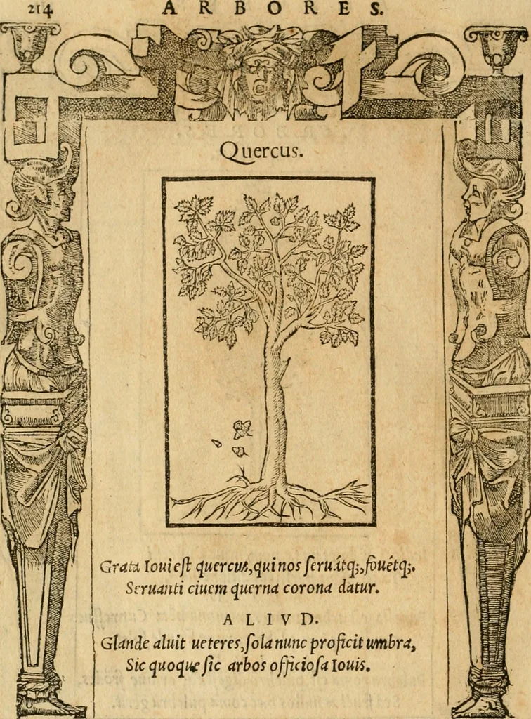 An illustration from Emblemata d'A. Alciati : denuo ab ipso autore recognita ac, quae desiderabantur, imaginibus locupletata : accesserunt noua aliquot ab autore emblemata, suis quoque eiconibus insignita, 1550, leaf 217