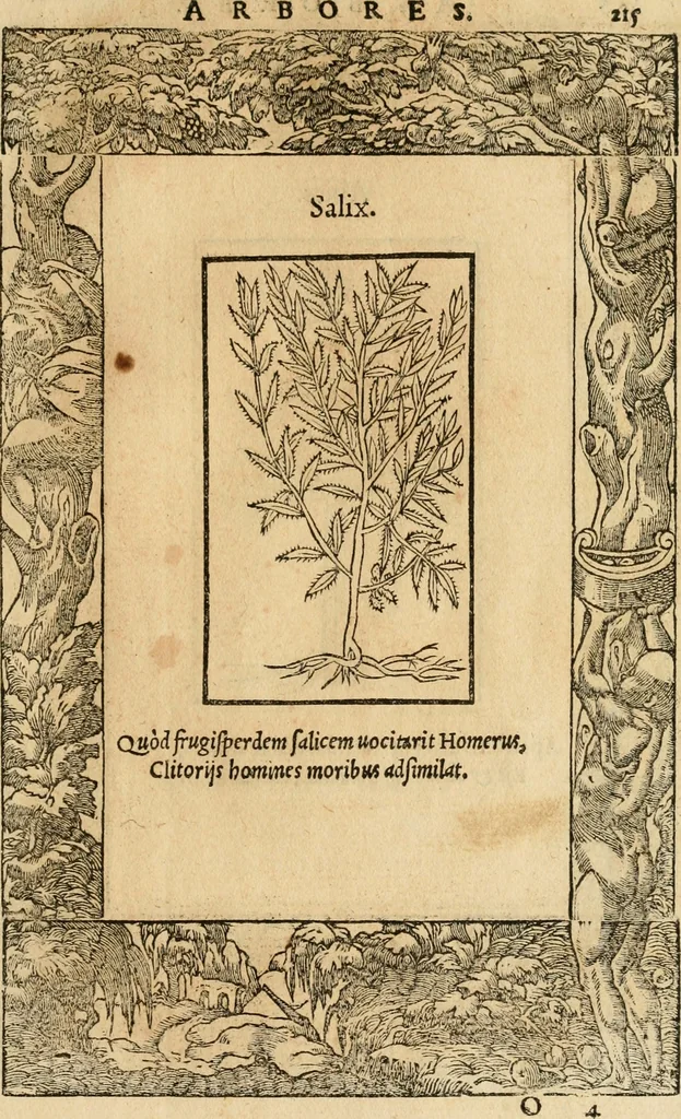 An illustration from Emblemata d'A. Alciati : denuo ab ipso autore recognita ac, quae desiderabantur, imaginibus locupletata : accesserunt noua aliquot ab autore emblemata, suis quoque eiconibus insignita, 1550, leaf 218