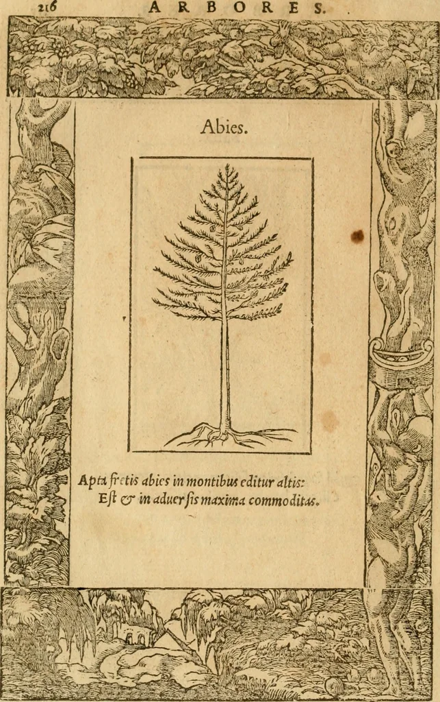 An illustration from Emblemata d'A. Alciati : denuo ab ipso autore recognita ac, quae desiderabantur, imaginibus locupletata : accesserunt noua aliquot ab autore emblemata, suis quoque eiconibus insignita, 1550, leaf 219