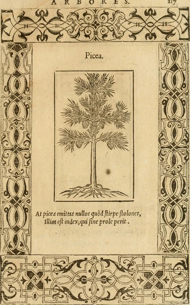 An illustration from Emblemata d'A. Alciati : denuo ab ipso autore recognita ac, quae desiderabantur, imaginibus locupletata : accesserunt noua aliquot ab autore emblemata, suis quoque eiconibus insignita, 1550, leaf 220