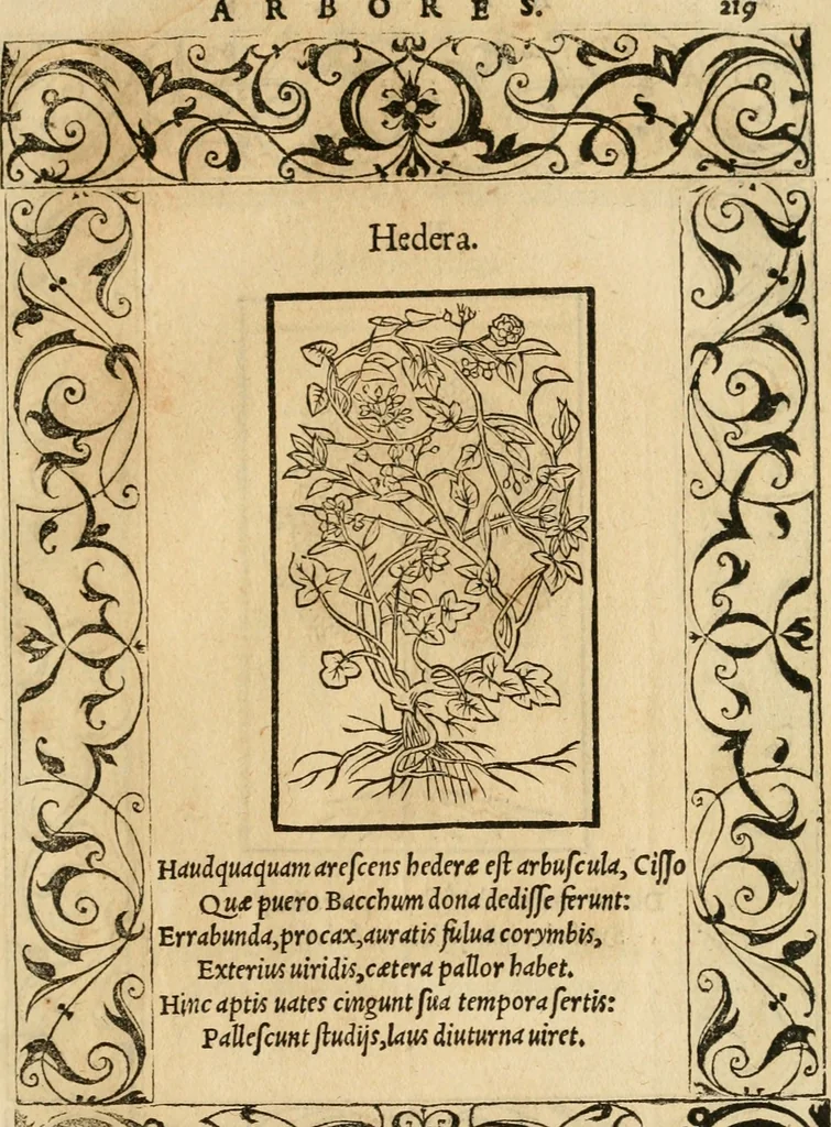 An illustration from Emblemata d'A. Alciati : denuo ab ipso autore recognita ac, quae desiderabantur, imaginibus locupletata : accesserunt noua aliquot ab autore emblemata, suis quoque eiconibus insignita, 1550, leaf 222