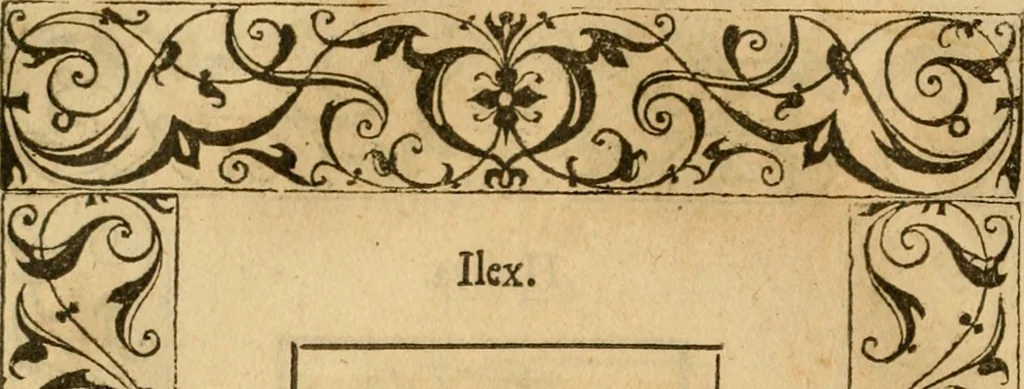 An illustration from Emblemata d'A. Alciati : denuo ab ipso autore recognita ac, quae desiderabantur, imaginibus locupletata : accesserunt noua aliquot ab autore emblemata, suis quoque eiconibus insignita, 1550, leaf 223