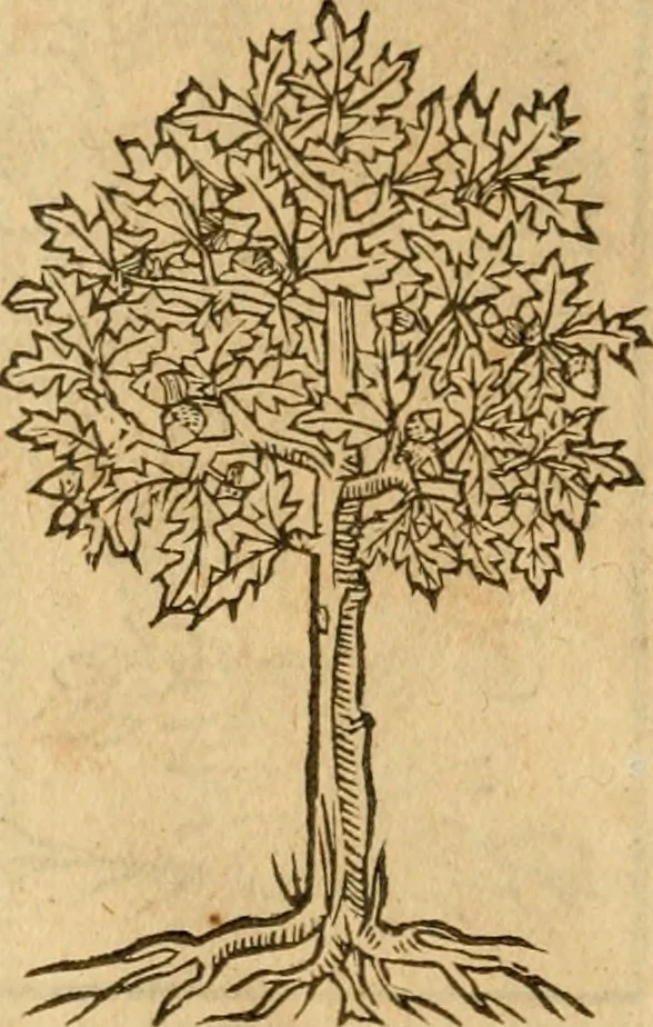 An illustration from Emblemata d'A. Alciati : denuo ab ipso autore recognita ac, quae desiderabantur, imaginibus locupletata : accesserunt noua aliquot ab autore emblemata, suis quoque eiconibus insignita, 1550, leaf 223