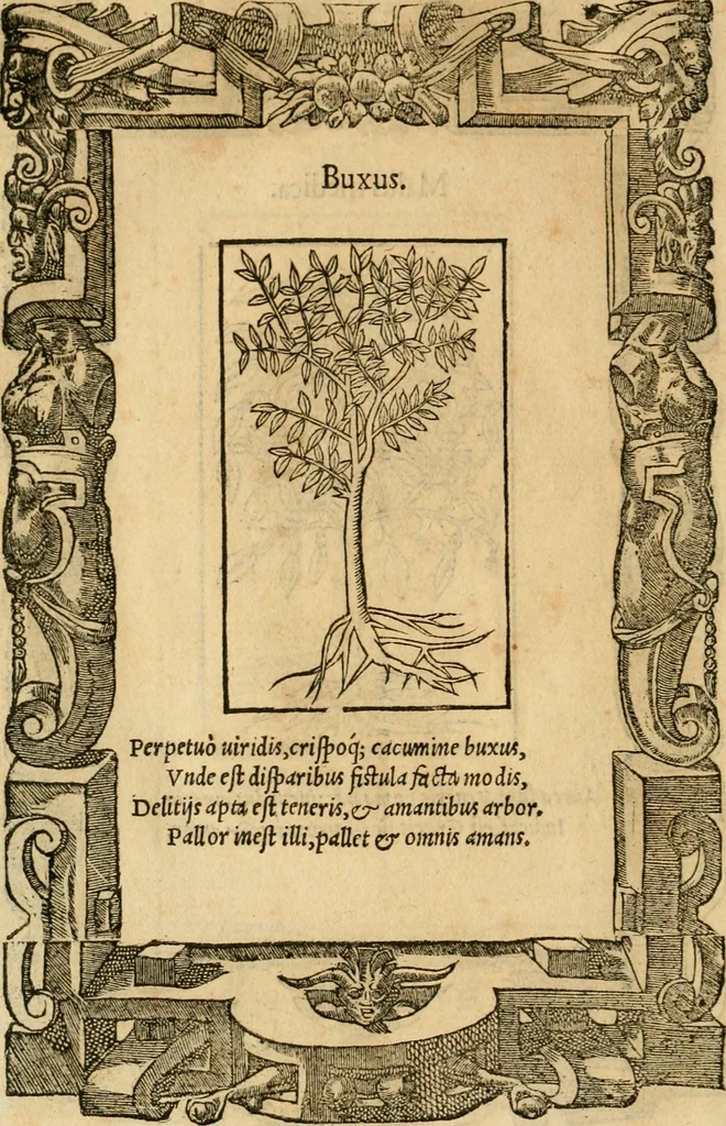 An illustration from Emblemata d'A. Alciati : denuo ab ipso autore recognita ac, quae desiderabantur, imaginibus locupletata : accesserunt noua aliquot ab autore emblemata, suis quoque eiconibus insignita, 1550, leaf 225