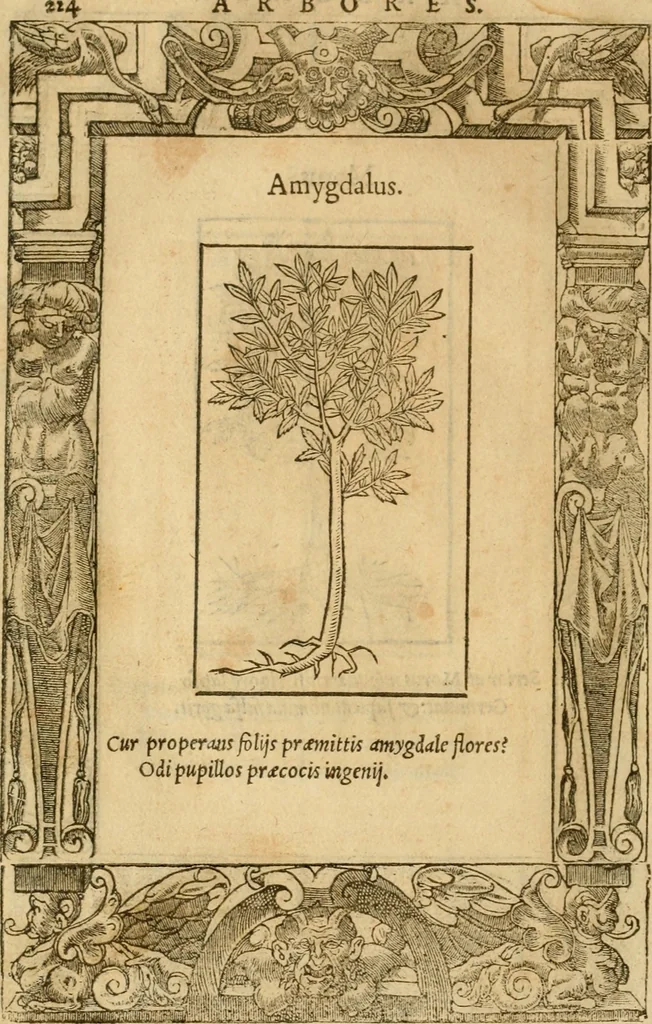 An illustration from Emblemata d'A. Alciati : denuo ab ipso autore recognita ac, quae desiderabantur, imaginibus locupletata : accesserunt noua aliquot ab autore emblemata, suis quoque eiconibus insignita, 1550, leaf 227