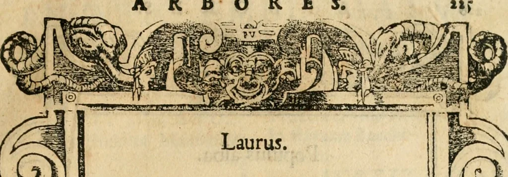 An illustration from Emblemata d'A. Alciati : denuo ab ipso autore recognita ac, quae desiderabantur, imaginibus locupletata : accesserunt noua aliquot ab autore emblemata, suis quoque eiconibus insignita, 1550, leaf 228