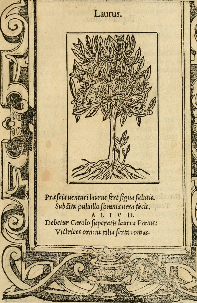 An illustration from Emblemata d'A. Alciati : denuo ab ipso autore recognita ac, quae desiderabantur, imaginibus locupletata : accesserunt noua aliquot ab autore emblemata, suis quoque eiconibus insignita, 1550, leaf 228