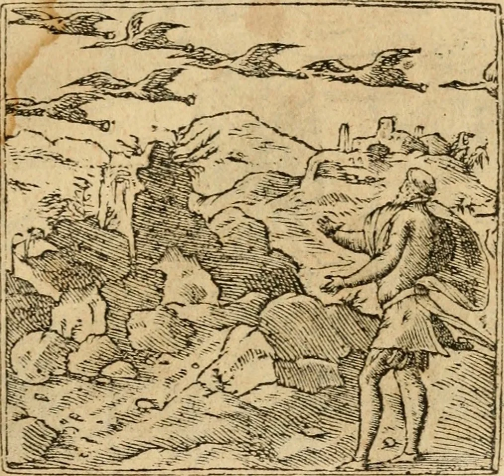 An illustration from Emblemata d'A. Alciati : denuo ab ipso autore recognita ac, quae desiderabantur, imaginibus locupletata : accesserunt noua aliquot ab autore emblemata, suis quoque eiconibus insignita, 1550, leaf 26