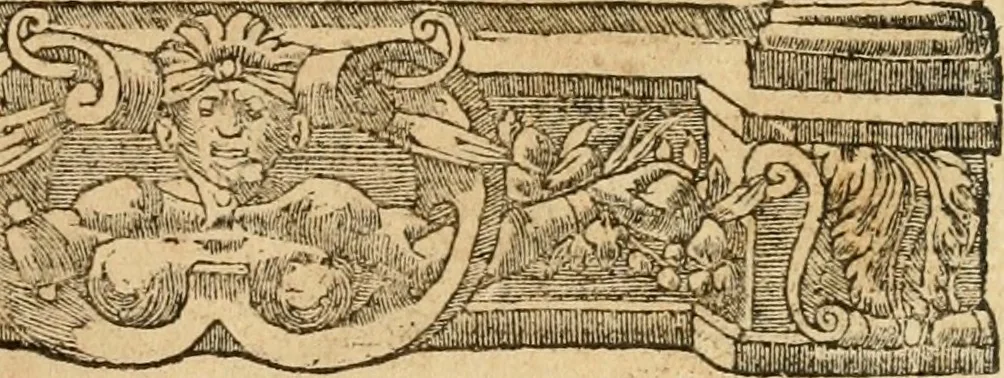 An illustration from Emblemata d'A. Alciati : denuo ab ipso autore recognita ac, quae desiderabantur, imaginibus locupletata : accesserunt noua aliquot ab autore emblemata, suis quoque eiconibus insignita, 1550, leaf 32