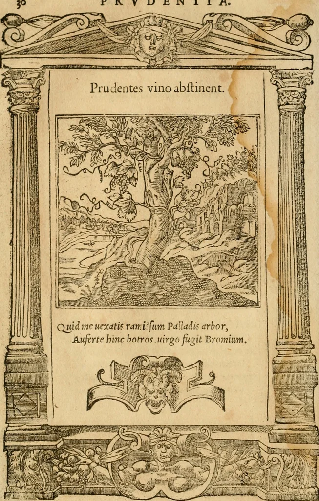 An illustration from Emblemata d'A. Alciati : denuo ab ipso autore recognita ac, quae desiderabantur, imaginibus locupletata : accesserunt noua aliquot ab autore emblemata, suis quoque eiconibus insignita, 1550, leaf 33