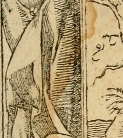 An illustration from Emblemata d'A. Alciati : denuo ab ipso autore recognita ac, quae desiderabantur, imaginibus locupletata : accesserunt noua aliquot ab autore emblemata, suis quoque eiconibus insignita, 1550, leaf 34