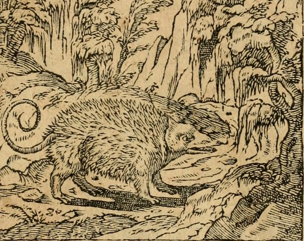 An illustration from Emblemata d'A. Alciati : denuo ab ipso autore recognita ac, quae desiderabantur, imaginibus locupletata : accesserunt noua aliquot ab autore emblemata, suis quoque eiconibus insignita, 1550, leaf 64