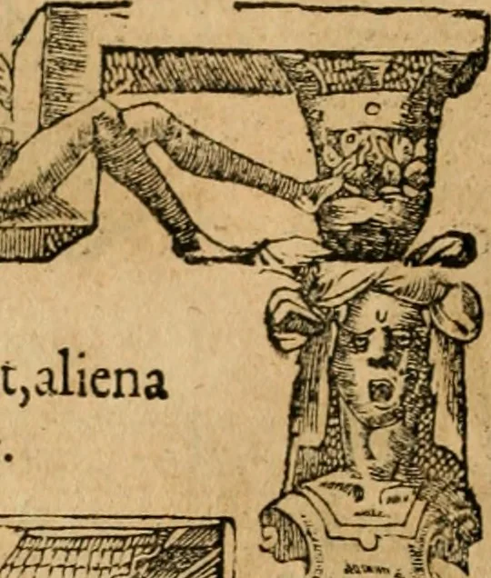An illustration from Emblemata d'A. Alciati : denuo ab ipso autore recognita ac, quae desiderabantur, imaginibus locupletata : accesserunt noua aliquot ab autore emblemata, suis quoque eiconibus insignita, 1550, leaf 65