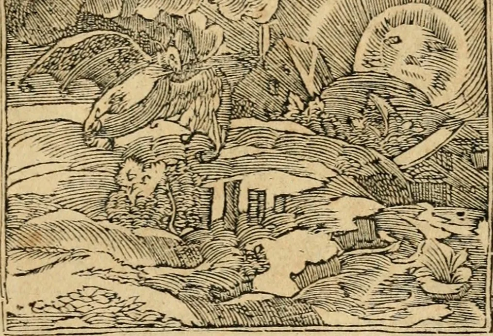 An illustration from Emblemata d'A. Alciati : denuo ab ipso autore recognita ac, quae desiderabantur, imaginibus locupletata : accesserunt noua aliquot ab autore emblemata, suis quoque eiconibus insignita, 1550, leaf 72