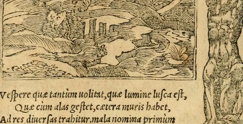 An illustration from Emblemata d'A. Alciati : denuo ab ipso autore recognita ac, quae desiderabantur, imaginibus locupletata : accesserunt noua aliquot ab autore emblemata, suis quoque eiconibus insignita, 1550, leaf 73