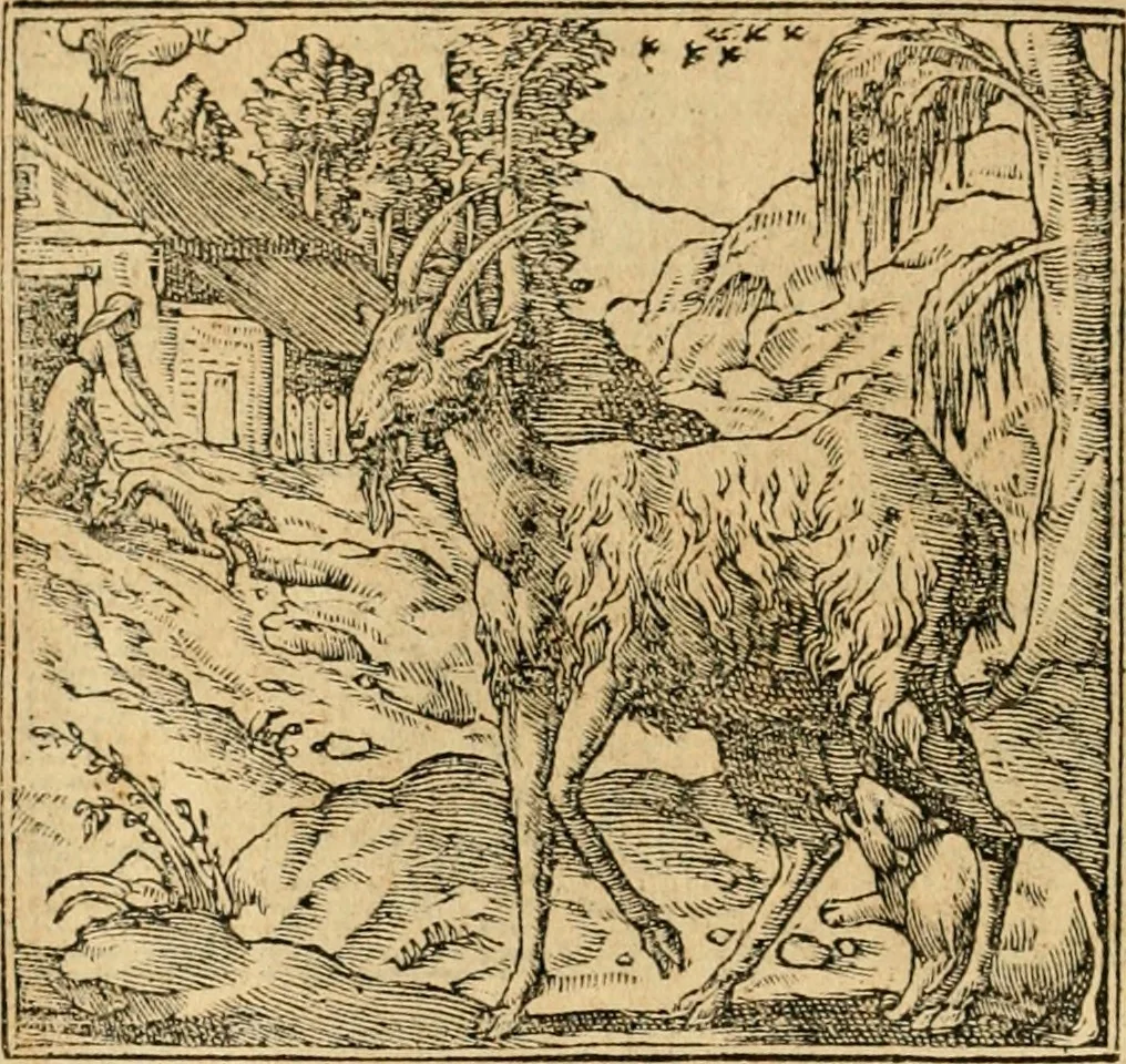 An illustration from Emblemata d'A. Alciati : denuo ab ipso autore recognita ac, quae desiderabantur, imaginibus locupletata : accesserunt noua aliquot ab autore emblemata, suis quoque eiconibus insignita, 1550, leaf 75