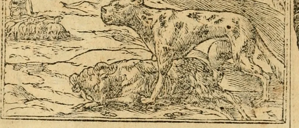 An illustration from Emblemata d'A. Alciati : denuo ab ipso autore recognita ac, quae desiderabantur, imaginibus locupletata : accesserunt noua aliquot ab autore emblemata, suis quoque eiconibus insignita, 1550, leaf 77