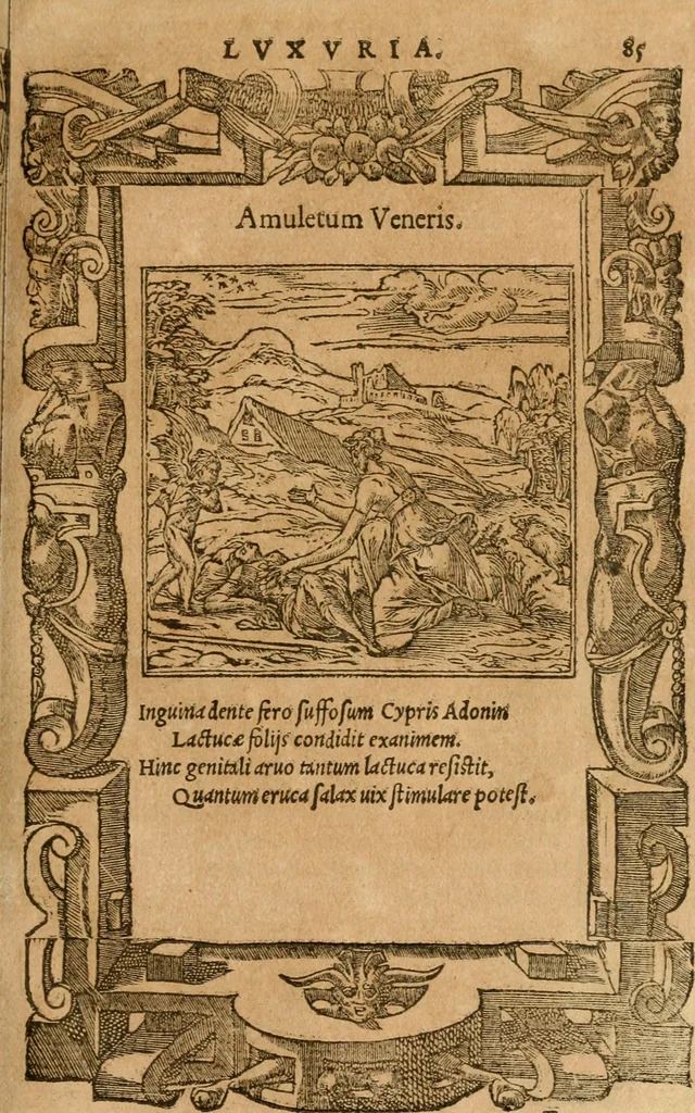 An illustration from Emblemata d'A. Alciati : denuo ab ipso autore recognita ac, quae desiderabantur, imaginibus locupletata : accesserunt noua aliquot ab autore emblemata, suis quoque eiconibus insignita, 1550, leaf 88