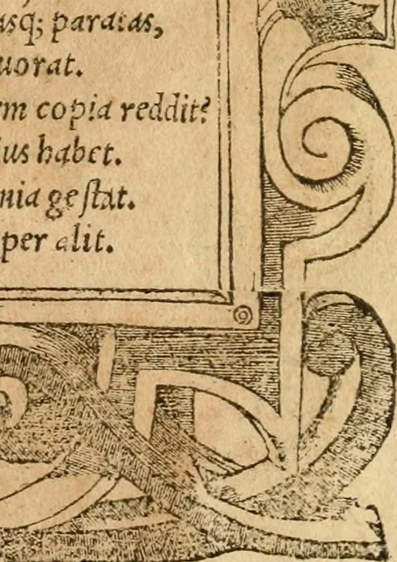 An illustration from Emblemata d'A. Alciati : denuo ab ipso autore recognita ac, quae desiderabantur, imaginibus locupletata : accesserunt noua aliquot ab autore emblemata, suis quoque eiconibus insignita, 1550, leaf 96