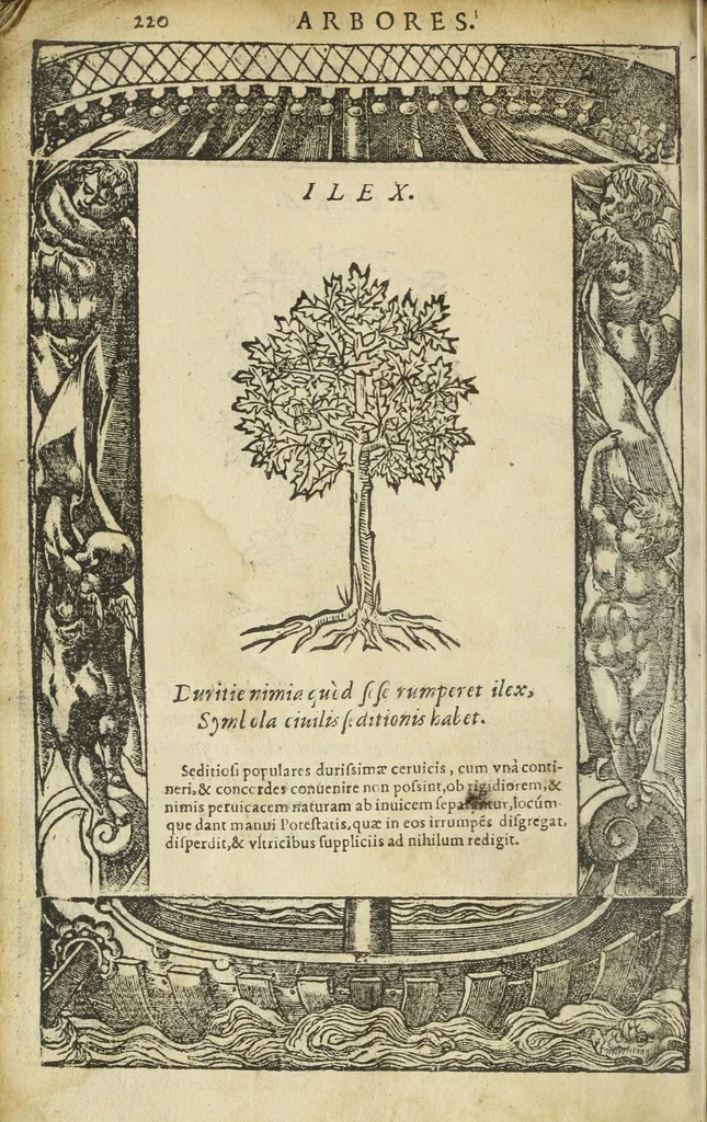 An illustration from Emblemata D. A. Alciati : denuo ab ipso autore recognita, ac, quae desiderabantur, imaginibus locupletata, 1551, leaf 446
