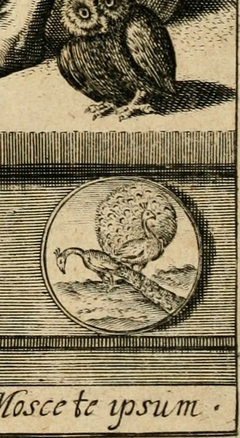 An illustration from Emblemata : emblemes chrestienes et morales : sinne-beelden, streckende tot christelicke bedenckinghe ende leere der zedicheyt, 1625, leaf 10