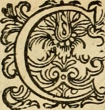 An illustration from Emblemata : emblemes chrestienes et morales : sinne-beelden, streckende tot christelicke bedenckinghe ende leere der zedicheyt, 1625, leaf 101
