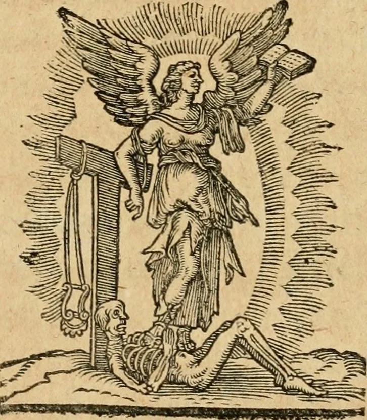 An illustration from Emblemata : emblemes chrestienes et morales : sinne-beelden, streckende tot christelicke bedenckinghe ende leere der zedicheyt, 1625, leaf 182
