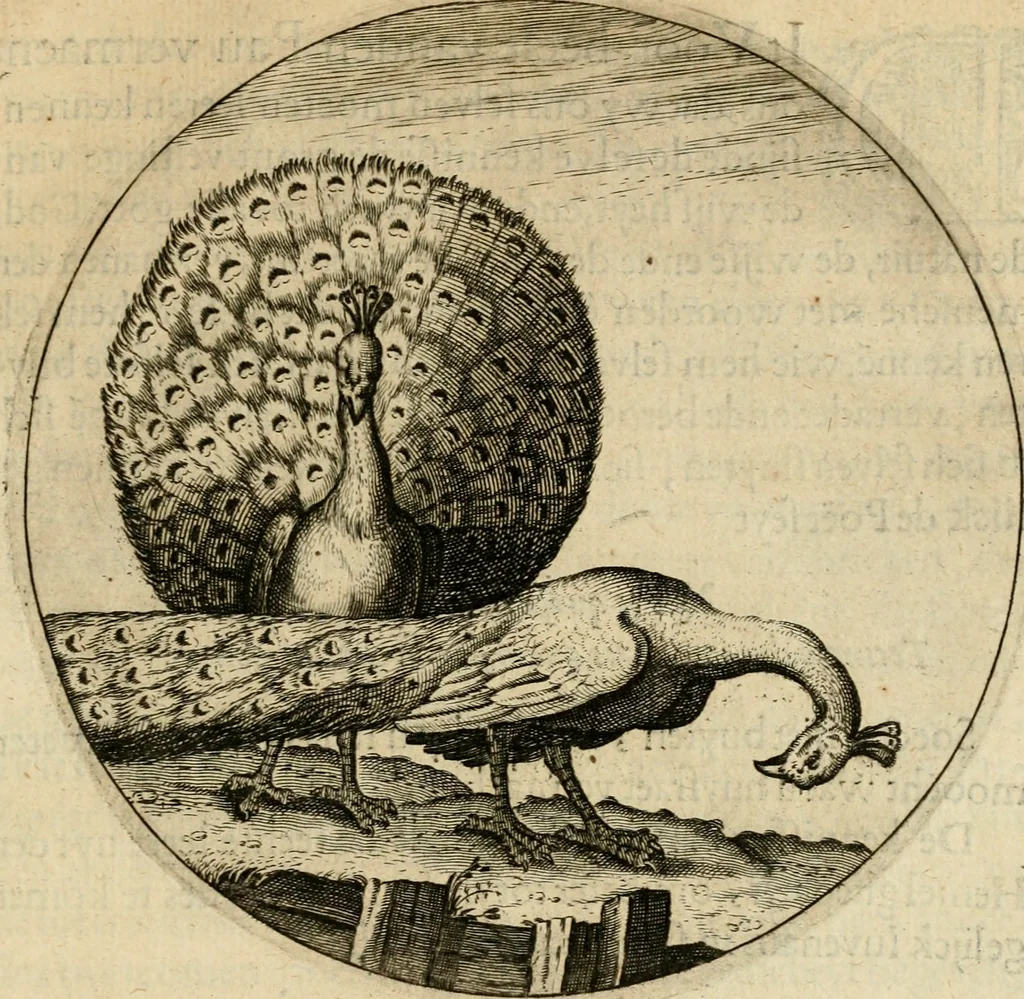 An illustration from Emblemata : emblemes chrestienes et morales : sinne-beelden, streckende tot christelicke bedenckinghe ende leere der zedicheyt, 1625, leaf 186