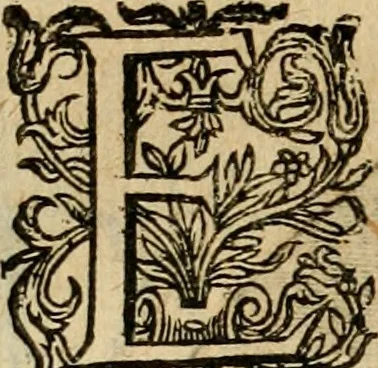 An illustration from Emblemata : emblemes chrestienes et morales : sinne-beelden, streckende tot christelicke bedenckinghe ende leere der zedicheyt, 1625, leaf 199