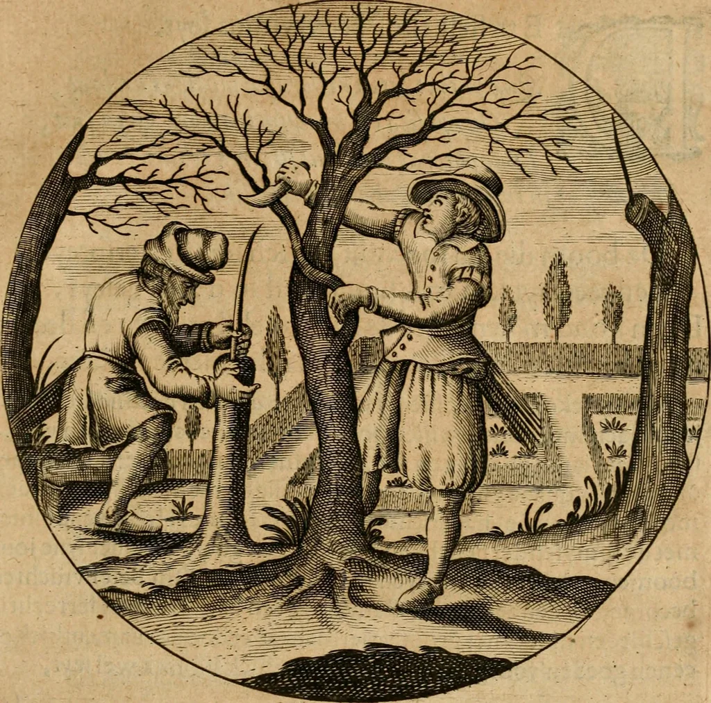 An illustration from Emblemata : emblemes chrestienes et morales : sinne-beelden, streckende tot christelicke bedenckinghe ende leere der zedicheyt, 1625, leaf 226