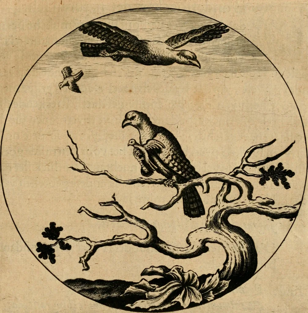 An illustration from Emblemata : emblemes chrestienes et morales : sinne-beelden, streckende tot christelicke bedenckinghe ende leere der zedicheyt, 1625, leaf 254