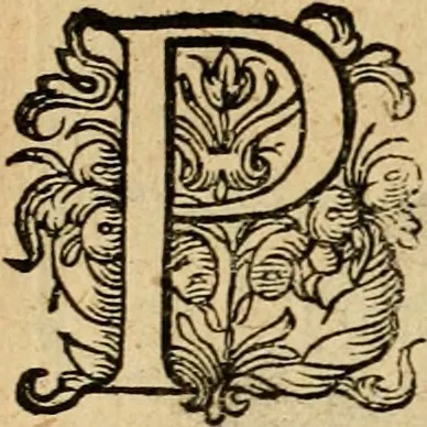 An illustration from Emblemata : emblemes chrestienes et morales : sinne-beelden, streckende tot christelicke bedenckinghe ende leere der zedicheyt, 1625, leaf 283