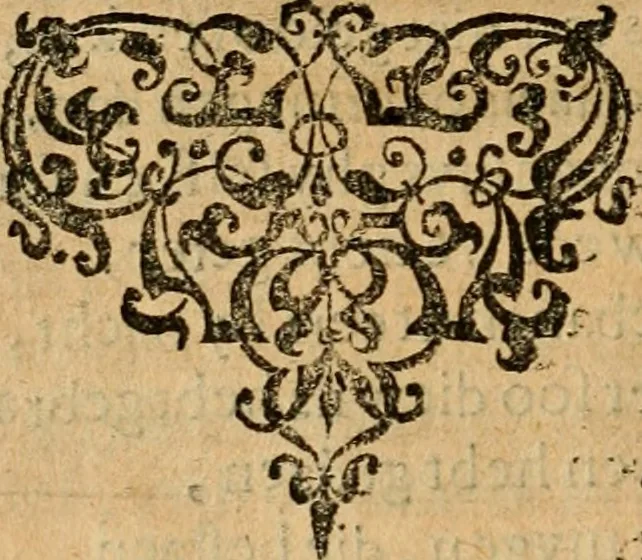An illustration from Emblemata : emblemes chrestienes et morales : sinne-beelden, streckende tot christelicke bedenckinghe ende leere der zedicheyt, 1625, leaf 359